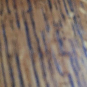 Meet your Posher, Keanin